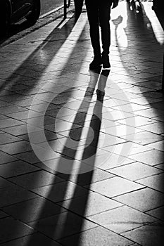 Long human shadows projected on the pavement at sunset