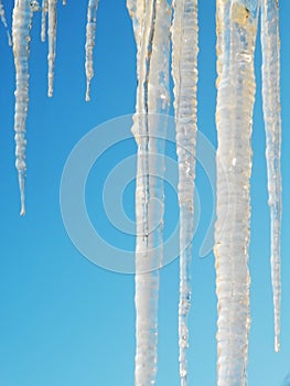 Long icicles on a background of the sky