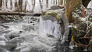 Long icicles hang above dark cold water of mountain river. Icicles glitter above milky water of stream. Branches of fallen trunks