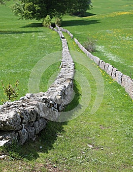 Long infinite path in the mountains