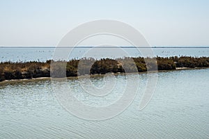Long islet with grasses in the small town of Margherita di Savoia in Apulia, Italy