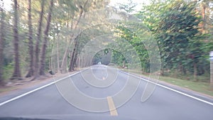 Long journey to destination with pine woodland surrounding. Traveling by car