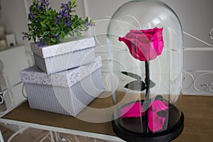 Long-lasting rose in a flask, rose in a glass dome, stabilized, a gift, rose in glass, preserved rose, forever pink rose