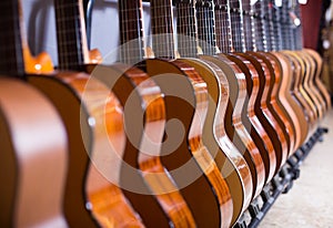 Long line of new acoustic guitars in store