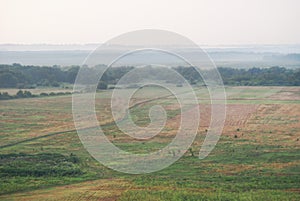 A long, lonely road through the morning misty field