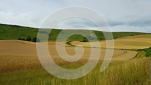 TheÃÂ Long Man of WilmingtonÃÂ is aÃÂ hill figureÃÂ on the steep slopes of Windover Hill nearÃÂ Wilmington, East Sussex, England