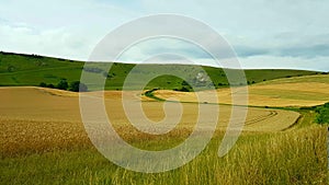 TheÃÂ Long Man of WilmingtonÃÂ is aÃÂ hill figureÃÂ on the steep slopes of Windover Hill nearÃÂ Wilmington, East Sussex, England