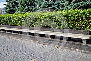 A long marble bench of gray color with decorative shrubs on a bright sunny day, backgrounds. Flora plants