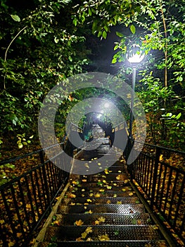 Long metal staircase in a dark forest. Lanterns illuminate the steps at night. Wet leaves after the rain