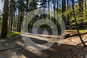 Long mountain trail in Jizera Mountains