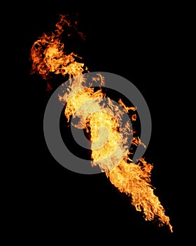 Long narrow flame isolated on black