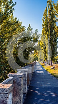 A long, narrow street without people,green foliage on the trees,a beautiful alley.