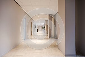 Long office hallway modern design, empty and clean interior