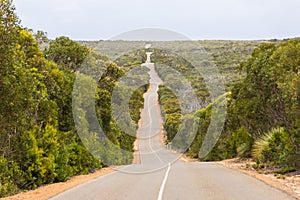 The long open road ahead photo