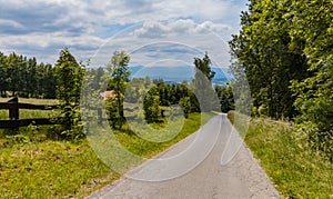 Long path with bushes and fields around in mountains photo