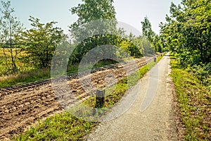 Long paths in a wooded environment