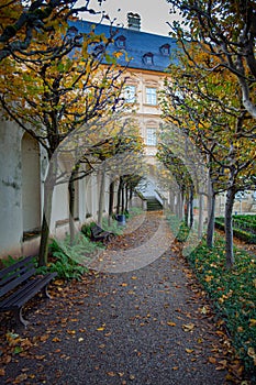 a long pathway with benches between two buildings and trees with leaves on the ground and in front of it