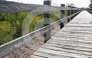 Long peir long rails photo