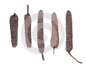 Long pepper isolated on white background. Heap of pippali or piper longum. Top view.