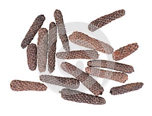 Long pepper isolated on white background. Heap of pippali or piper longum. Top view.