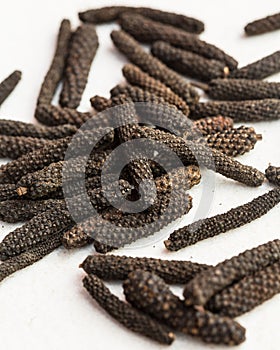 Long pepper (Piper longum)