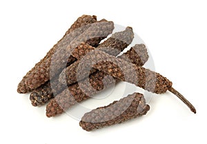 Long pepper or Piper longum photo