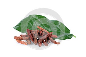 long pepper, pipli or dipli piper longum with leaf isolated on white