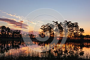 Long Pine Key Lake Everglades