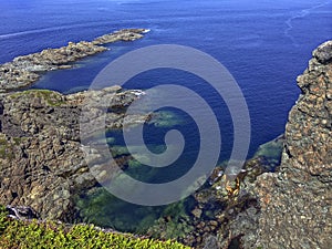 Long Point, Twillingate Island, Newfoundland