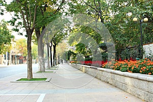 A long quiet street