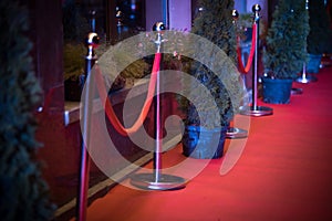 Long red carpet between rope barriers on entrance.