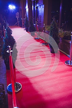 Long red carpet between rope barriers on entrance.