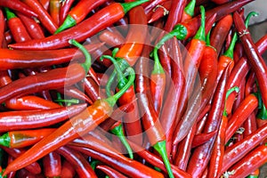 Long red chile peppers -- Capsicum annuum Amando