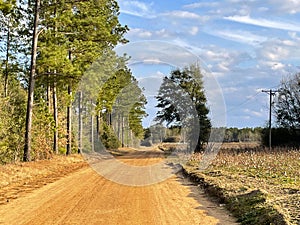 Long red clay dirt road in rural Georgia