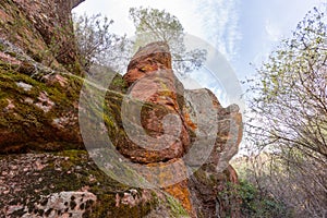 Long red orange rocks in the park with  trees