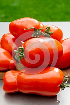 Long red ripe italian san marzano pasta sauce tomatoes