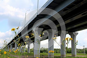 Long road bridge on the supports of the overpass