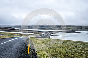 Long road crossing the famous Mossy lava field, Iceland