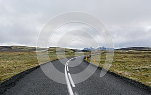 Long road crossing the famous Mossy lava field, Iceland