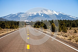 Long road off into the distance towards the horizon