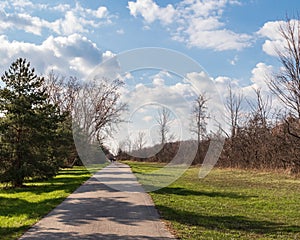 Long road, summer perspective landscape