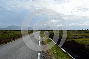 Long road throug flat landscape with mountain and fog