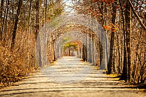 Long Road to Nowhere