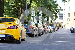 Long row of cars parking along a city road under shadow of big t