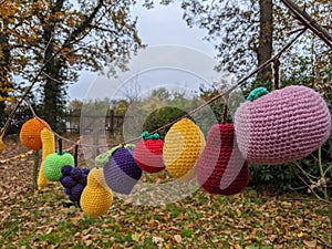 A long row of knitted fruit hanging on a line