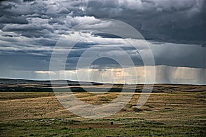 Rain Squalls along Tygh Ridge