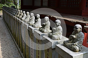 Long Row of Seated Buddhas in Bhumisparsha Mudra