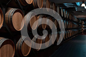 A long row of wooden wine barrels. Modern wine cellar