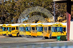 Row Of Yellow School Buses
