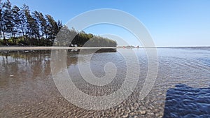 long rows of trees on the shoreline